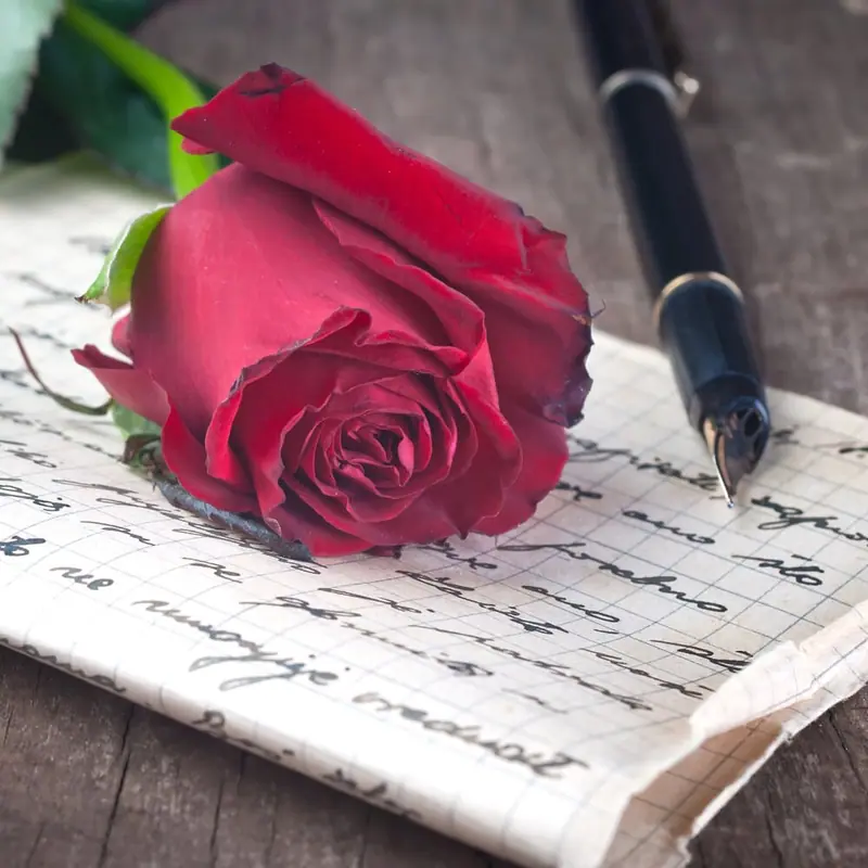 Red rose and fountain pen on a handwritten letter