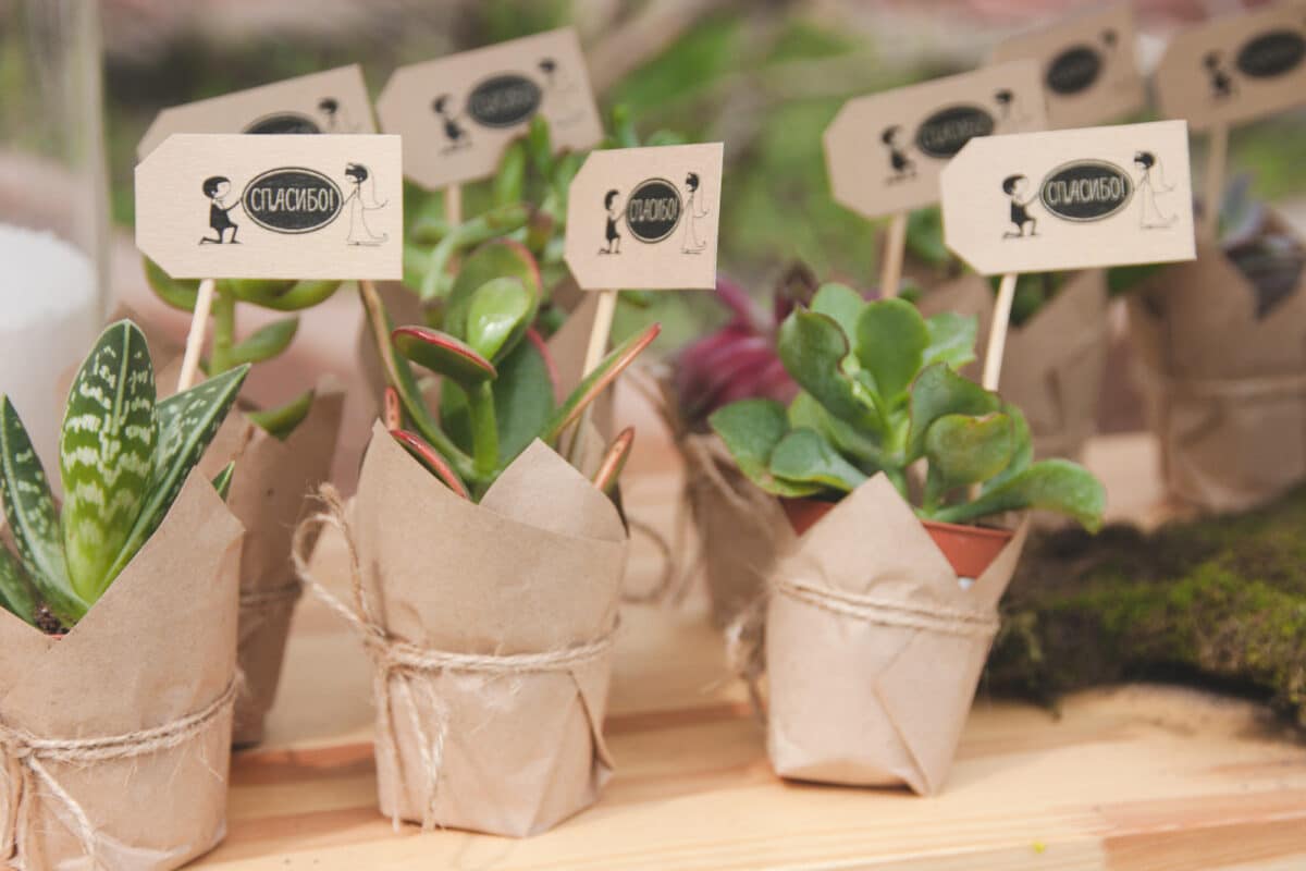 What do you do with wedding favors?
