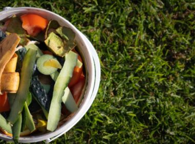 Why is There a Strange Rotten Vegetables Smell in My House?