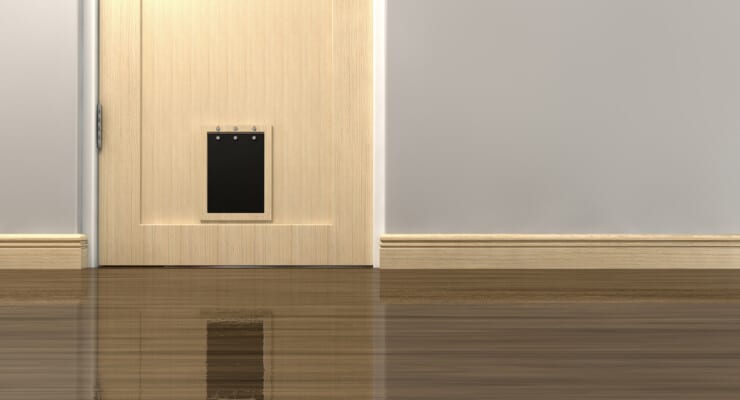 How to reset petsafe door?
