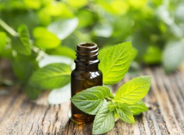 Why Is There A Strange Peppermint Smell In My House?