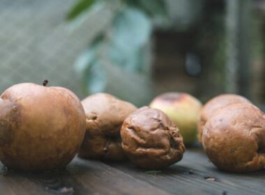 Why is There a Strange Rotten Fruit Smell in My House?