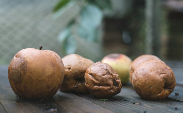 Why is There a Strange Rotten Fruit Smell in My House?