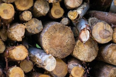 Why Is There a Strange Wood Smell in My House?
