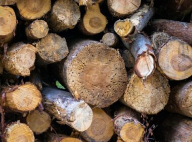 Why Is There a Strange Wood Smell in My House?