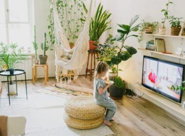 How to Fix Bush TV with No Sound