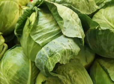 Why Is There a Strange Cabbage Smell in My House?