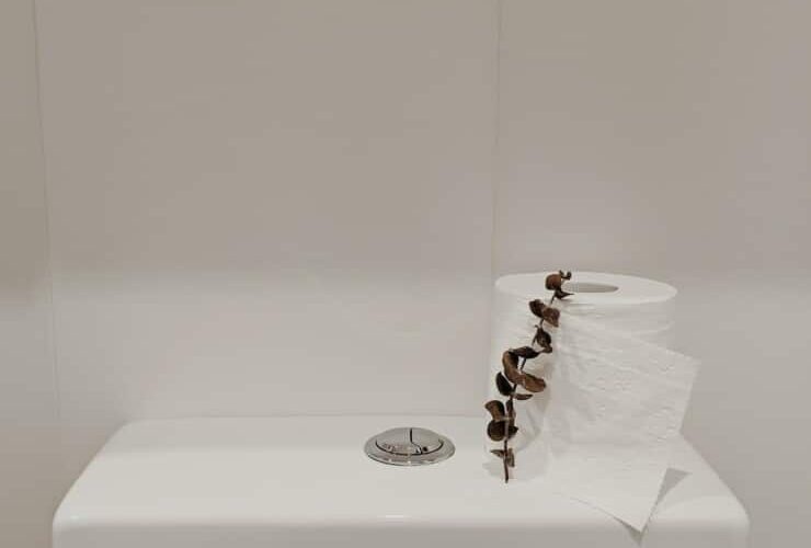 Why Is There a Strange Poop Smell in My House?